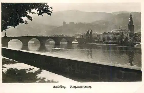 Germany Heidelberg Morgenstimmung Brucke