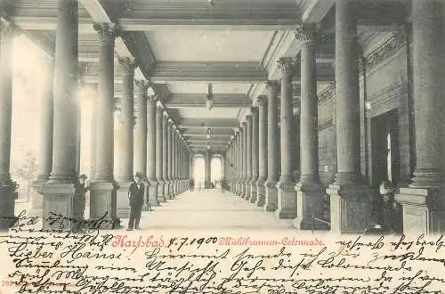 AK Karlsbad 1900