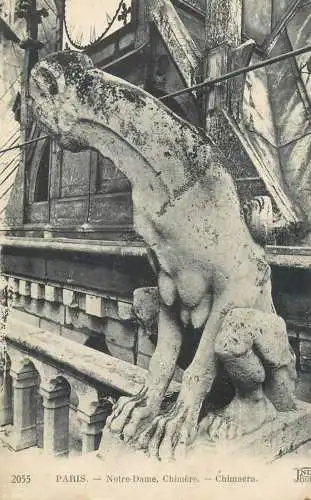 France Paris Notre DAme Chimere