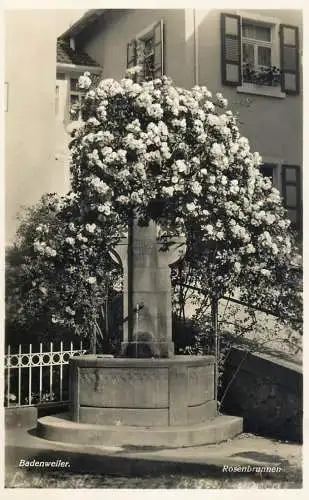 Germany Badenweiler fountain