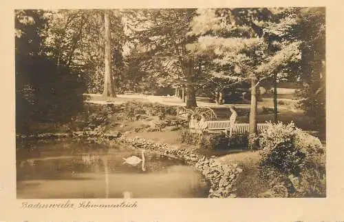 Germany Badenweiler Schwanenteich