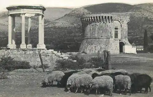 Croatia Trogir sheep & historical landmark ruins