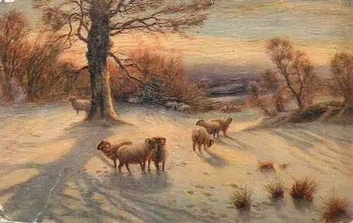 Winter sunset sheep flock in forest S. Hildesheimer artwork