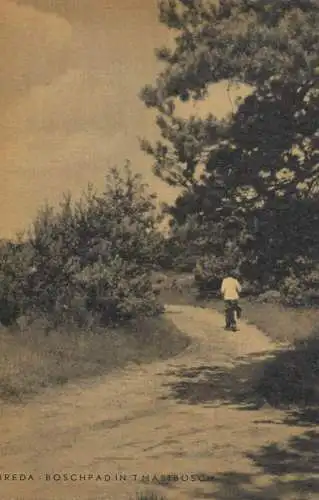 Netherlands Breda man riding bicycle on countryside road
