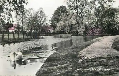Netherlands Winschoten Maintebos Pond
