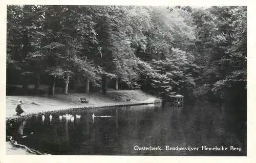 Netherlands Oosterbeek man feeding ducks