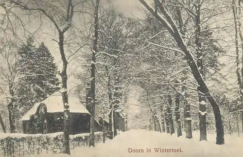 Netherlands Doorn winter scenery