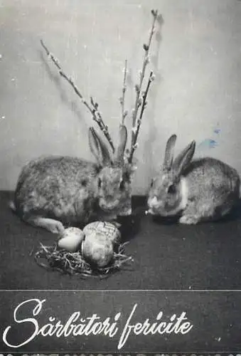 Romania Easter greetings rabbits
