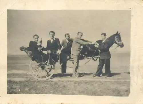 Anonymous persons horse cart