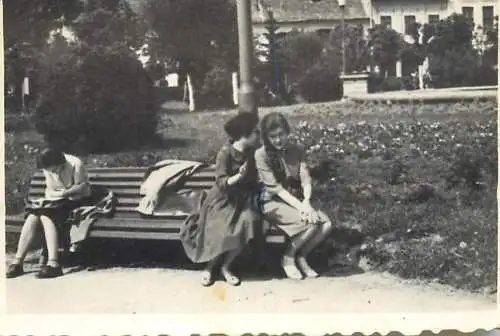 Medias, Romania 1962