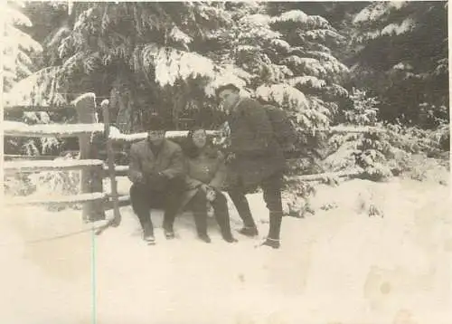 Romania Paltinis 1973 souvenir photo