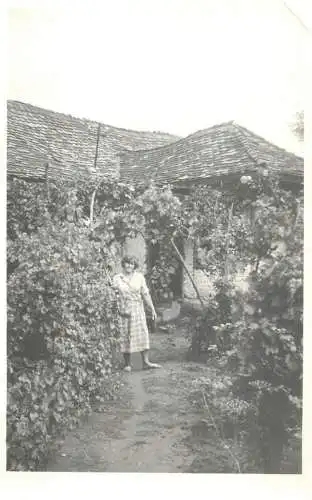 Romania annonymous woman Dobridor Dolj photo 9 x 14 cm