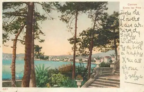 France Cannes entre les pins
