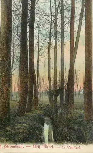 Belgium Strombeek Maalbeek forest scenery