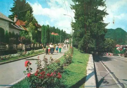Romania Vedere din Olanesti Aleea Trandafirilor