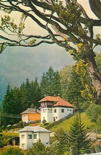 Romania Busteni