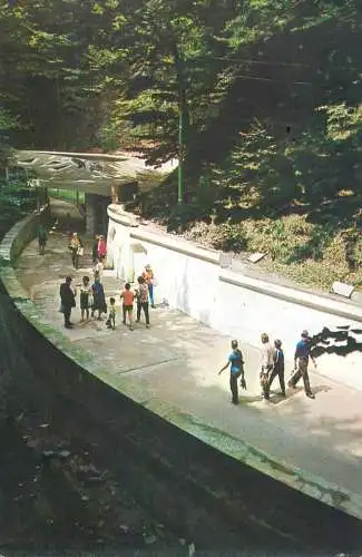 Romania Olanesti Aleea spre izvoarele minerale