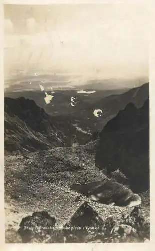 Vysoke scenic 1931 real photo