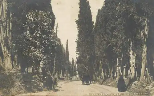 Constantinople cimetiere turc a Scutari Üsküdar real photo