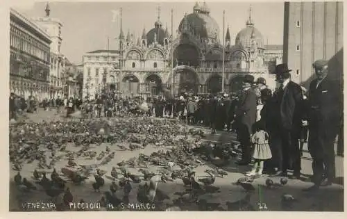 Venezia S. Marco piccioni cartolina vera fotografia 1929