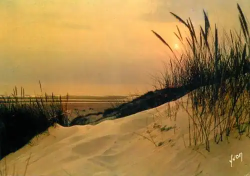 France Fort Mahon Plage (Somme) coucher de soleil dans les Dunes