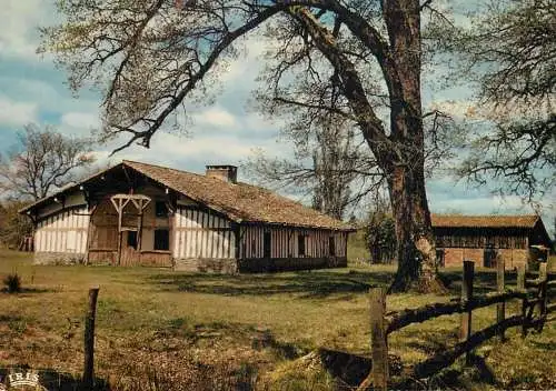 France En Gascogne vieille ferme au pays landais