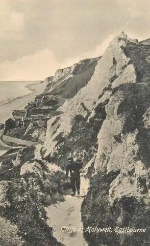 United Kingdom England Eastbourne cliffs at Holywell