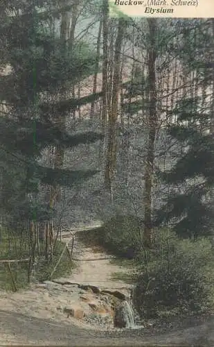 Switzerland Bukow Elysium forest