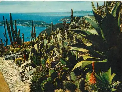 France Cote d'Azur Eze-Village jardin exotique