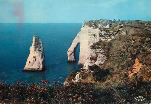 France Etretat (Seine Maritime) L'Aiguille et la Falaise d'aval