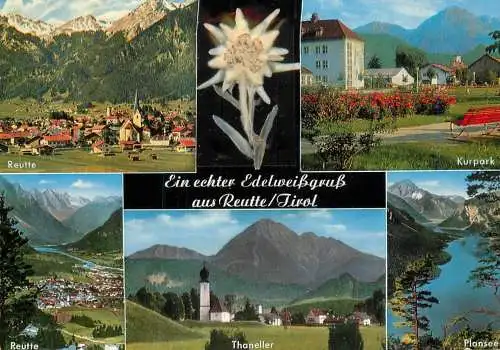 Reutte multi views natural Edelweiss flower