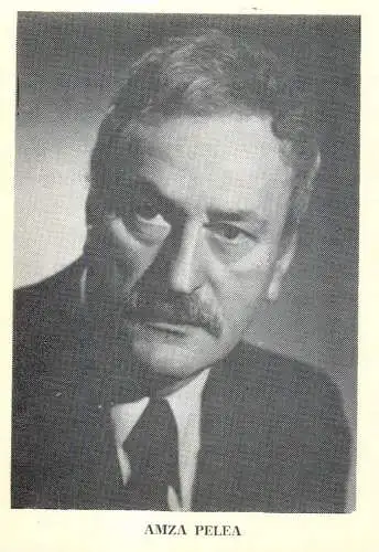 Amza Pelea