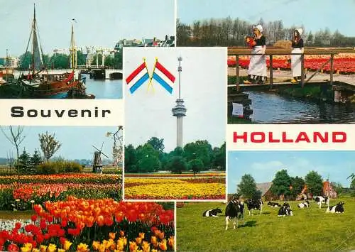 Nehterlands souvenir multi view