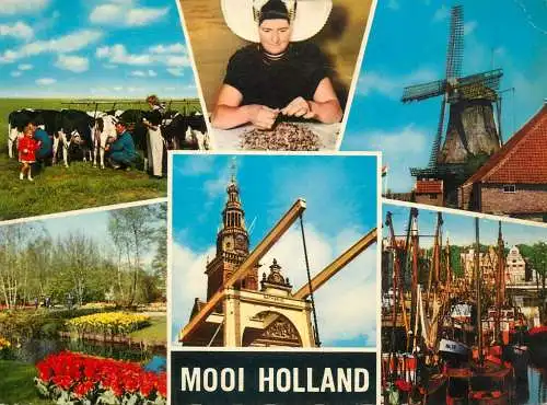 Beautiful Netherlands different aspects multi view