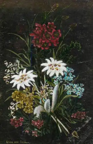 Edelweiss alpine flowers Gruss aus  ... Tirol, Austria artist postcard