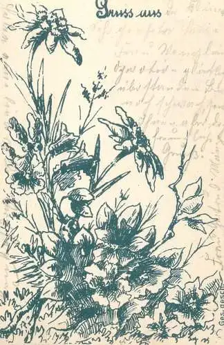 Edelweiss alpine flowers Gruss aus  ... 1919 Germany, Konigreich Bayern