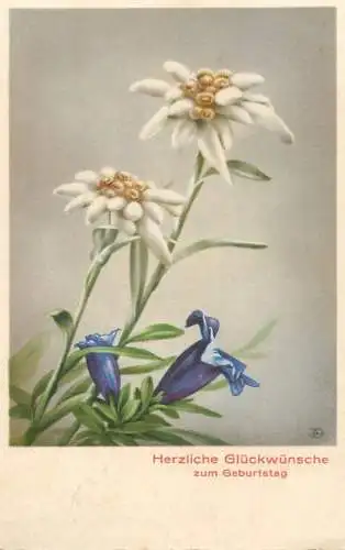 Edelweiss alpine flowers postcard birthday greetings Germany 1941