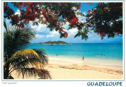 France Guadeloupe Antilles Plage de Gossier et son islet