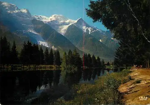 France Chamonix Mont-Blanc Les Gaillandes et le Mont-Blanc
