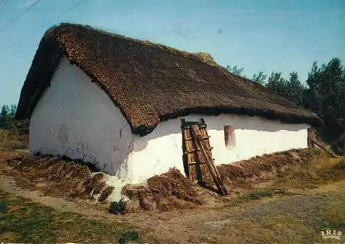 France Bocage Vendeen - une bourrine