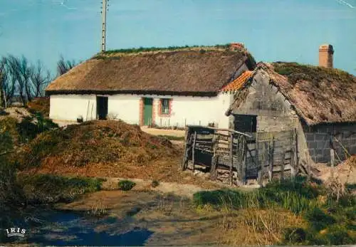 France Vendee pittoresque - une bourrine