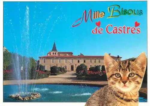 France Souvenir de Castres