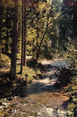 France Vosges pittoresques La Vologne