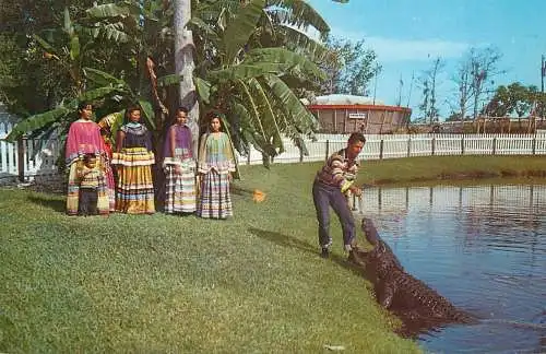 Fort Lauderdale aligator feeding time Aquaglades