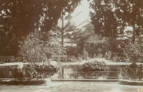 Malta real photo postcard