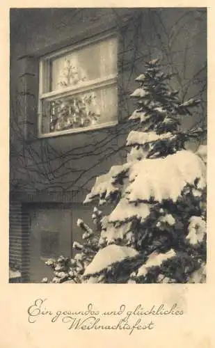 Christmas greetings postcard window Christmas tree
