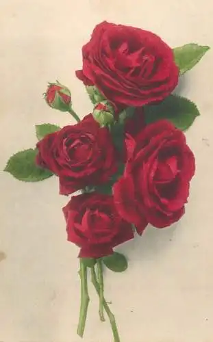 Roses greetings postcard 1917
