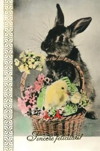 Easter rabbit & chicken greetings card 8 x 13 cm Romania