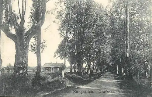 Kungsallen Grafsnas