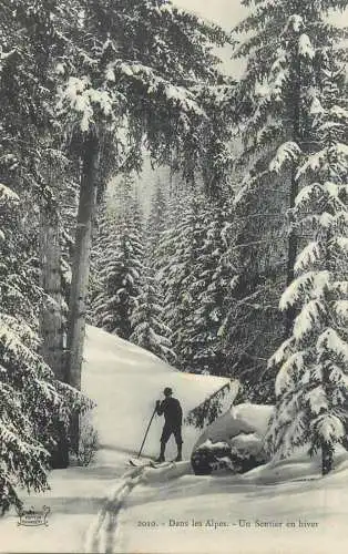 cpa dans les Alpes un sentier en hiver